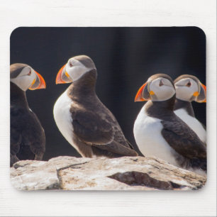 Flock of Puffins Mouse Mat