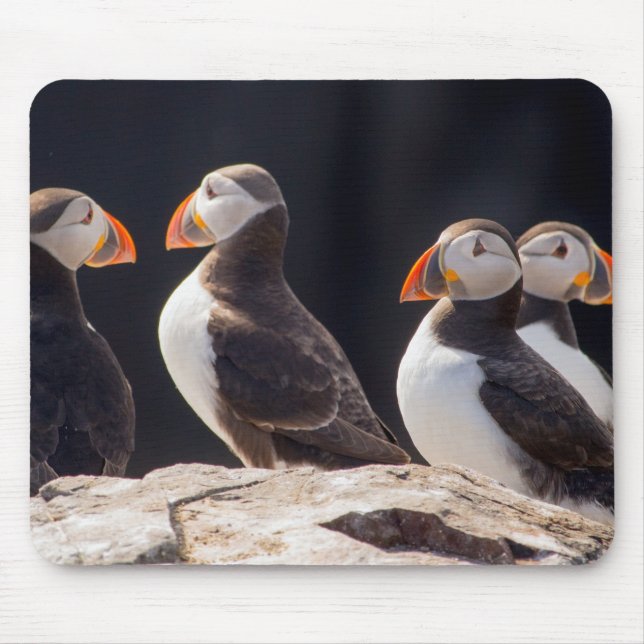 Flock of Puffins Mouse Mat (Front)