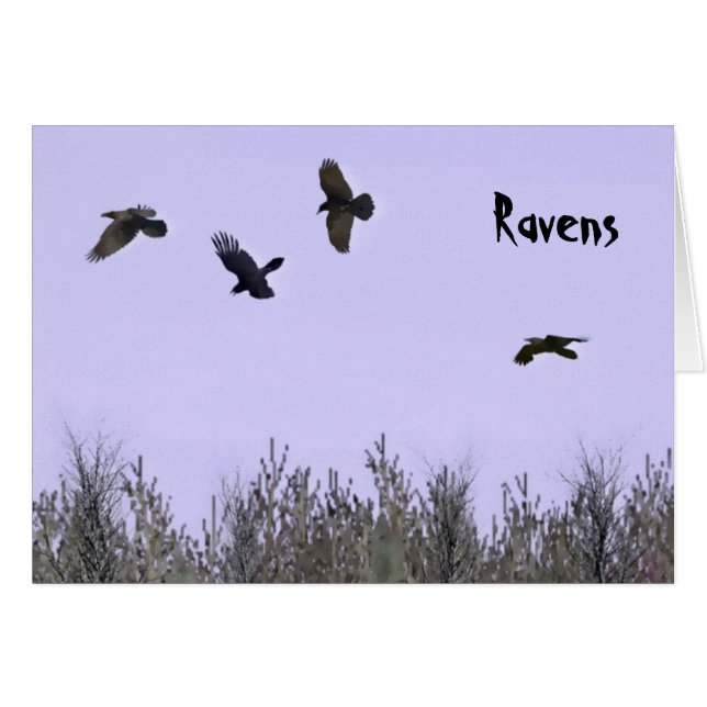 Flock of Ravens (Front Horizontal)