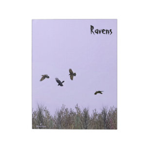 Flock Of Ravens Notepad