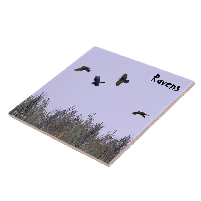 Flock of Ravens Tile (Side)