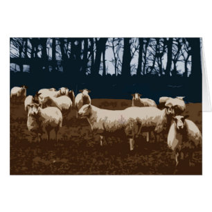Flock of sheep card