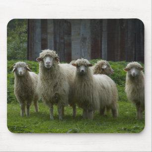 Flock of Sheep   Farmland Mouse Mat