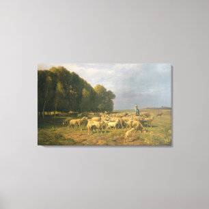 Flock of Sheep in a Landscape Canvas Print