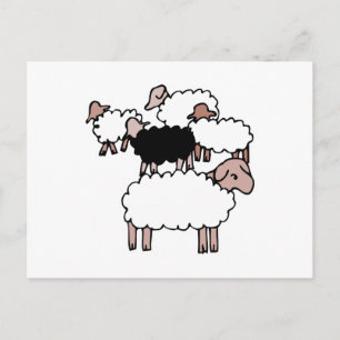 flock of sheep with black sheep postcard