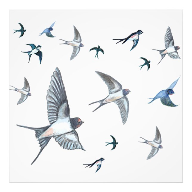  Flock of swallow birds flying Wood Photo Print (Front)