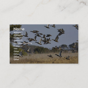 Flock of waterfowl fly from wetland at Chincoteagu Business Card