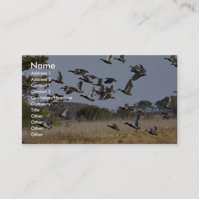 Flock of waterfowl fly from wetland at Chincoteagu Business Card (Front)