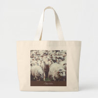 Flock of white & black sheep