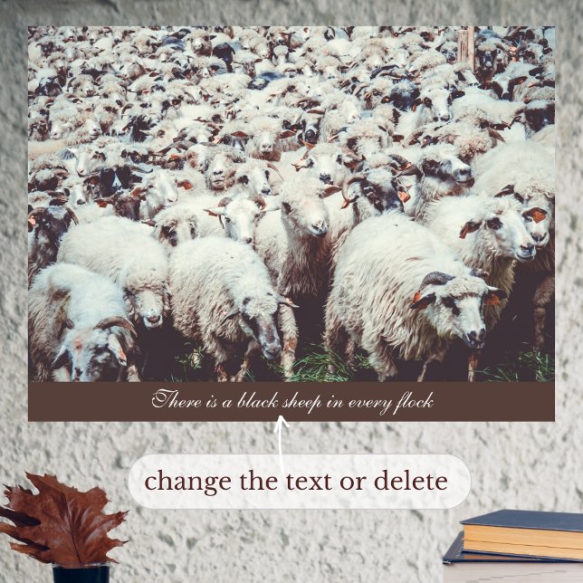 Flock of white & black sheep  poster (Creator Uploaded)