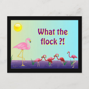 Flock Off Postcard
