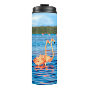 Flocks of beautiful pink flamingos in the Celestun Thermal Tumbler