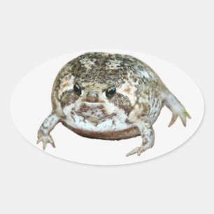 Flog Oval Sticker
