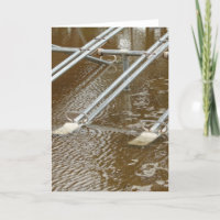 Flooded Playground