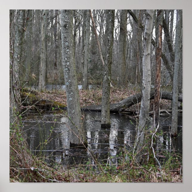 Flooded Trees Poster (Front)