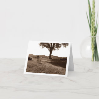 Floor Tom White Drum Blank Note Card