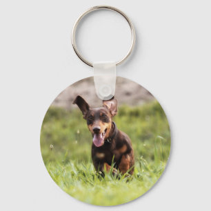 Floppy Dachshund Key Ring