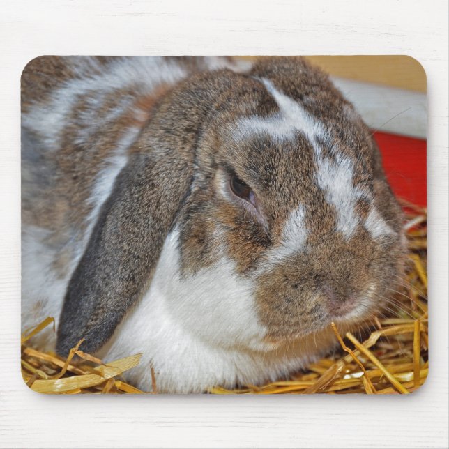 Floppy Eared Bunny Mouse Mat (Front)