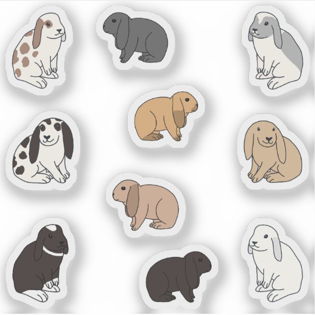 Floppy eared Rabbits (Front)