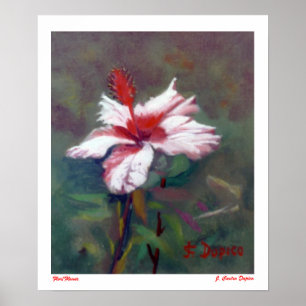 Flor/Flower Poster
