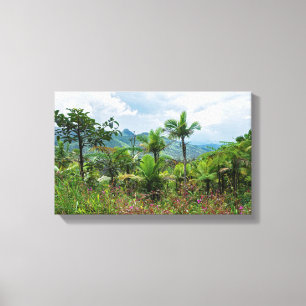 Flora and landscape of luquillo mountains canvas print
