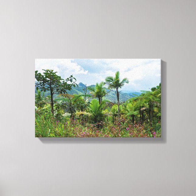 Flora and landscape of luquillo mountains canvas print (Front)