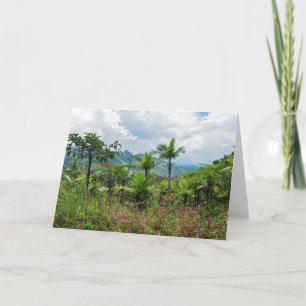 Flora and landscape of luquillo mountains card