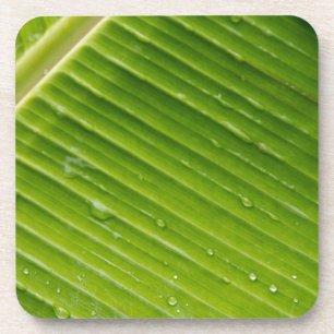 Flora Dominica 1 Coaster