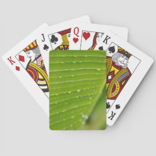 Flora Dominica 2 Playing Cards