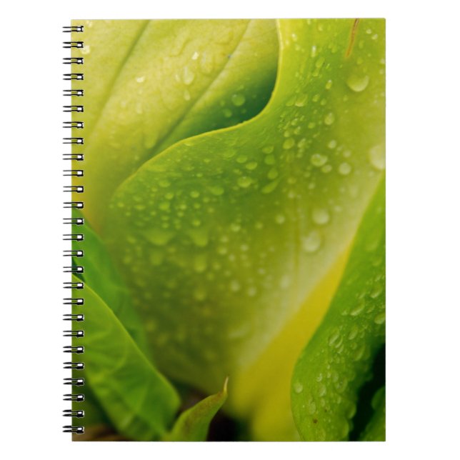 Flora Dominica 3 Notebook (Front)