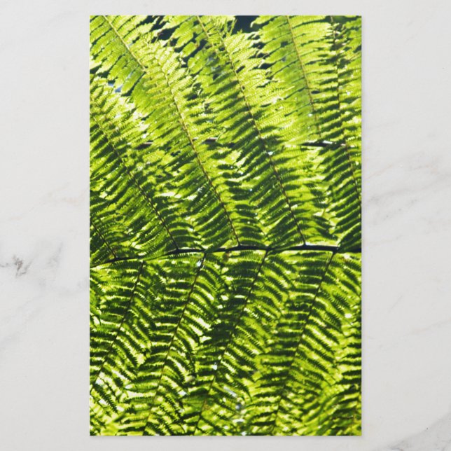 Flora Dominica 5 (Front)