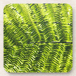 Flora Dominica 5 Coaster