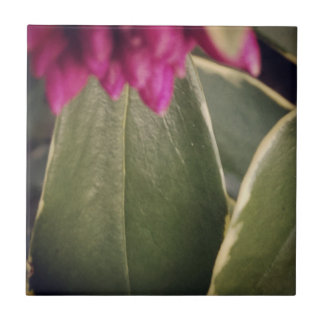 Flora Tile- Daphne Tile