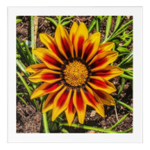 Floral 1 Acrylic wall art