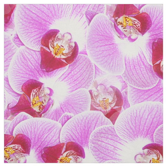 Floral Abstract BG Radiant Orchid Nature Photo Fabric (Swatch)