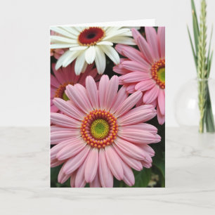 Floral Abundance Pattern Card