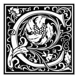 Floral Alphabet Monogram Letter C Photo Print