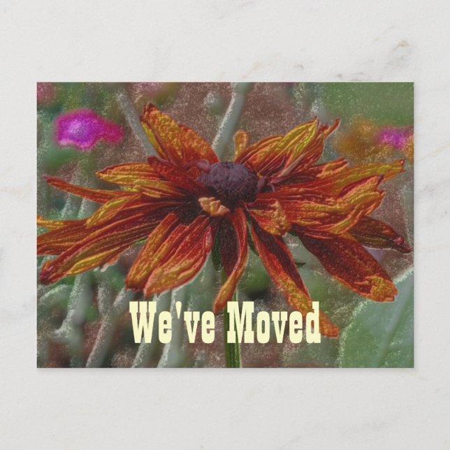 Floral Art Daisy Moving New Address Postcard (Front)