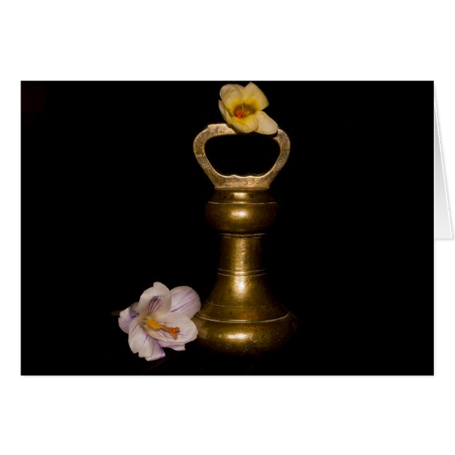 Floral Attraction (Front Horizontal)