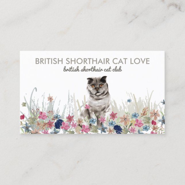 Floral Back British Shorthair cute cat Business Card (Front)