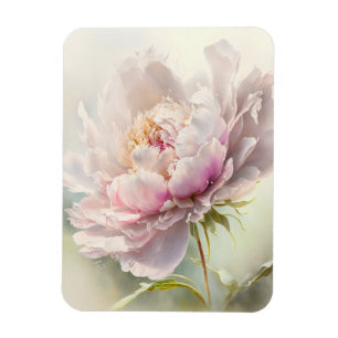 Floral background. Spring blossom Magnet