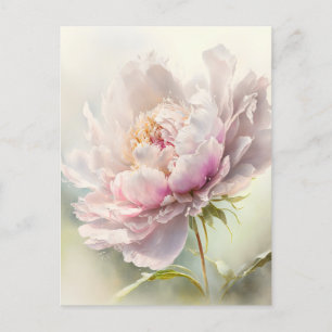 Floral background. Spring blossom Postcard