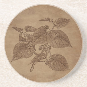 Floral Berries Engraving on Aged Paper Coaster