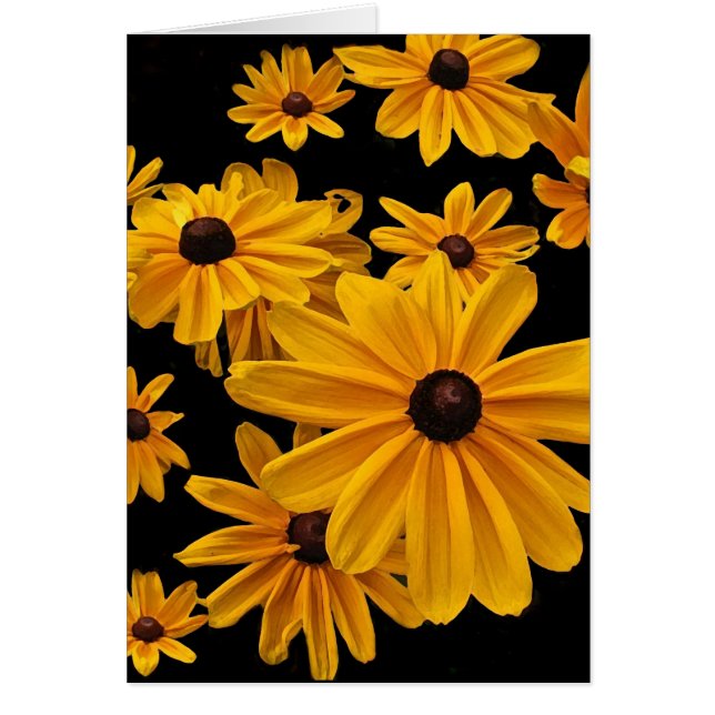 Floral Black Eyed Susan Flowers Blank Card (Front)