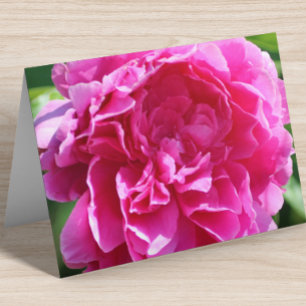 Floral Blank Inside Pretty Pink Elegant Folded Note Card