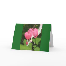 Floral Bleeding Heart - Landscape Greeting Card