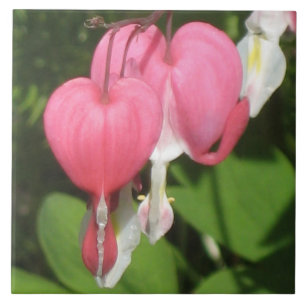 Floral Bleeding Heart - Large Ceramic Photo Tile