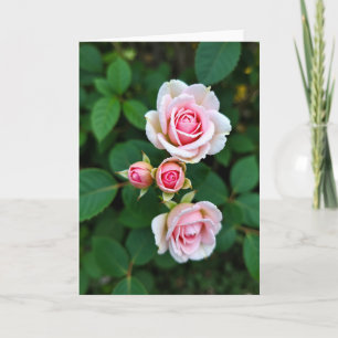 Floral Bloom Pink Blossom Card