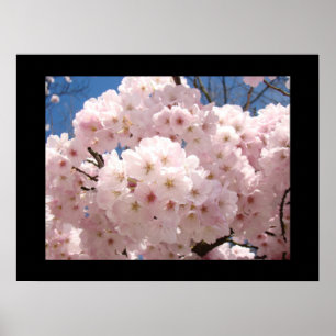 Floral Blossoms Fine art print Pink Tree Flowers