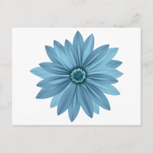 Floral Blue Daisy Flower Daisies Postcard